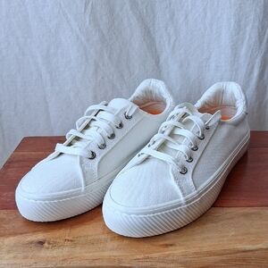 Quince Eco Cotton Canvas White Sneakers Size 6.5 Raw Natural Rubber
